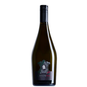 Casanova Prosecco DOC Frizzante sparkling wine bottle with screw cap, DOC certification, and Made in Italy tricolour label design.